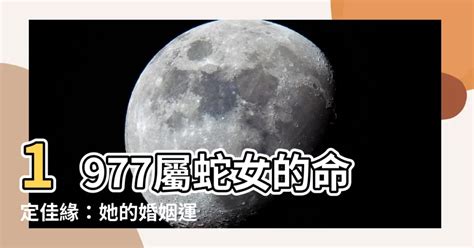 1977屬蛇幸運色2023|1977属蛇人2023年幸运色，属蛇接触什么颜色最好